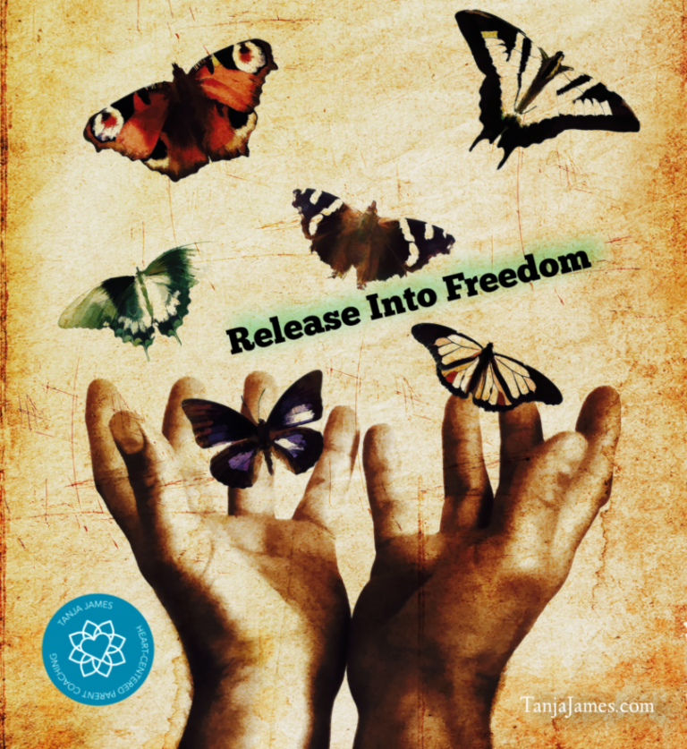 Read more about the article Release Into Freedom